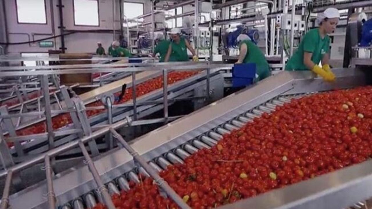 Türkiye'nin en büyük ketçap ve mayonez üreticisi ABD'li firmaya satıldı!