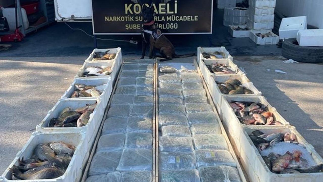 BALIK YÜKLÜ KAMYONETİN TABANINDA 53 KİLO 'SKUNK' ELE GEÇİRİLDİ