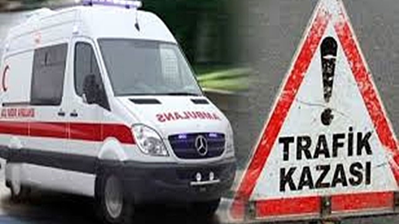 Bitlis'te yolcu otobüsü devrildi ; 15 yaralı !