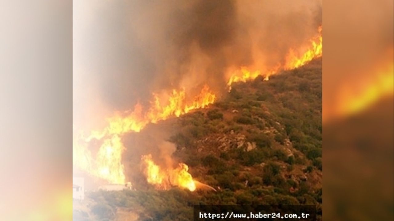 Kütahya ormanları yanıyor! Bazı köyler tahliye ediliyor