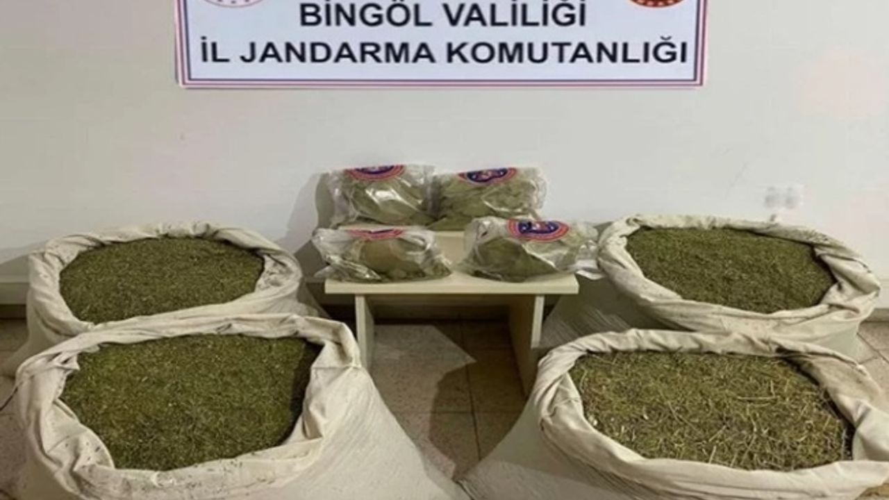 Bingöl’de 145 kilogram esrar ele geçirildi