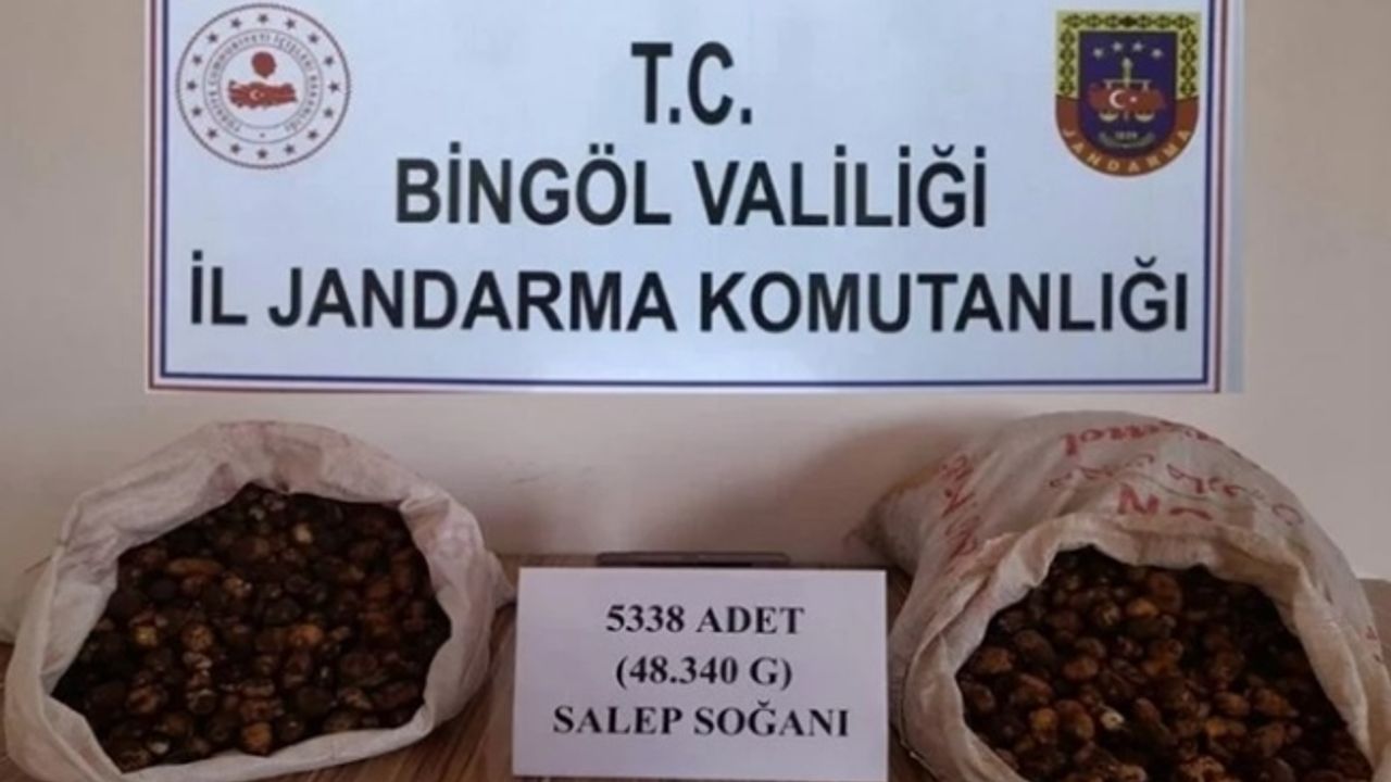 Bingöl'de salep soğanı toplayanlara 1 milyon 221 bin lira ceza kesildi