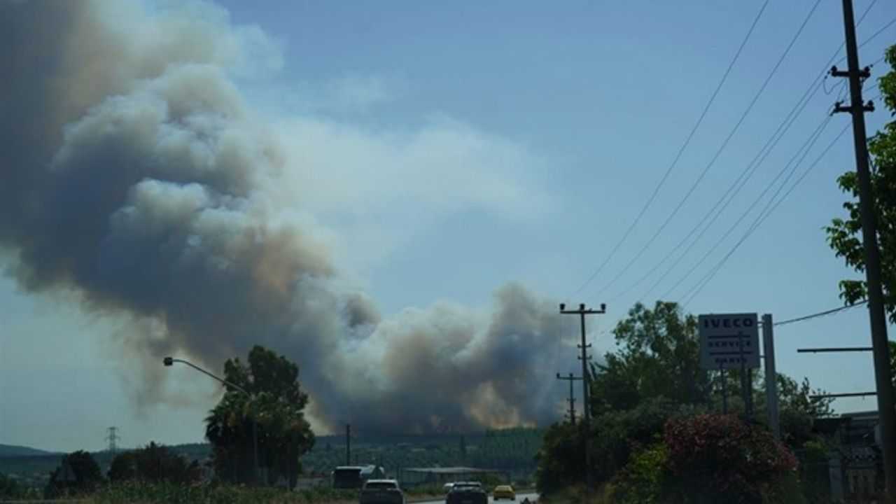 Milas'ta yangın! 2 mahalleyi tehdit ediyor