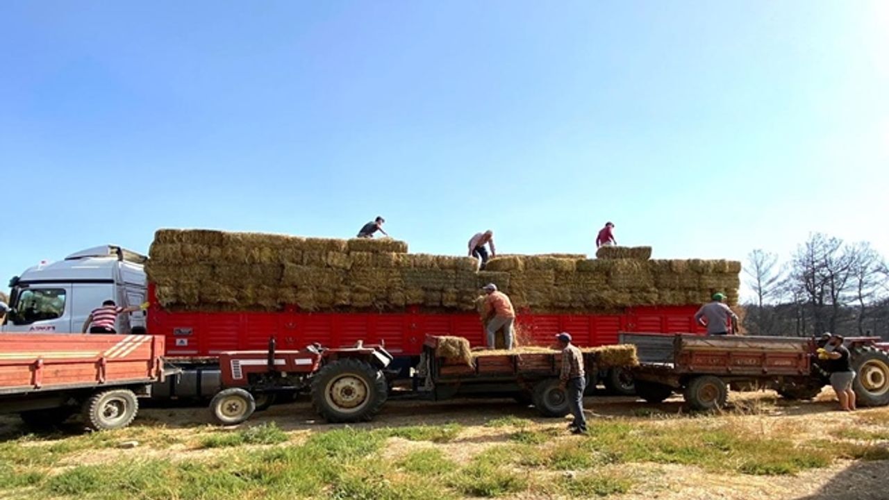 Kocaeli’den, Çanakkale’deki yangın mağduru çiftçilere destek