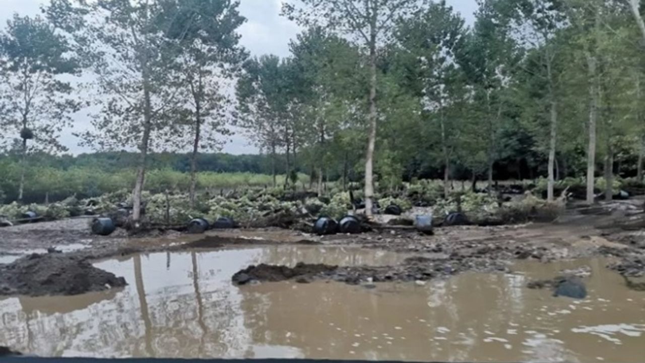 Kırklareli'de sel 3 can aldı