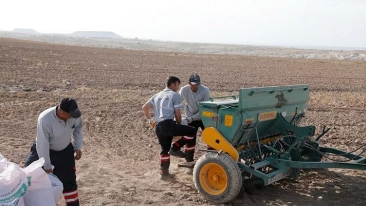 Nevşehir Belediyesi'nden yerli tohum ekimi