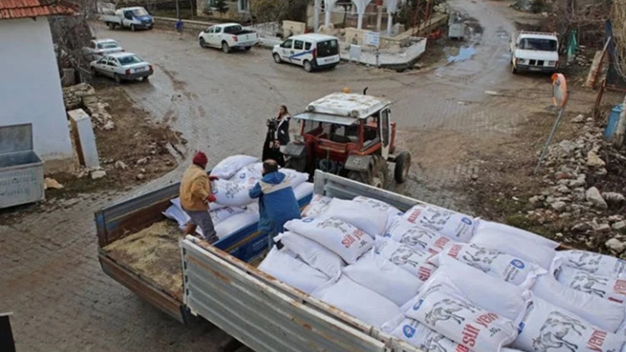 Antalya'da üreticilere süt yemi desteği
