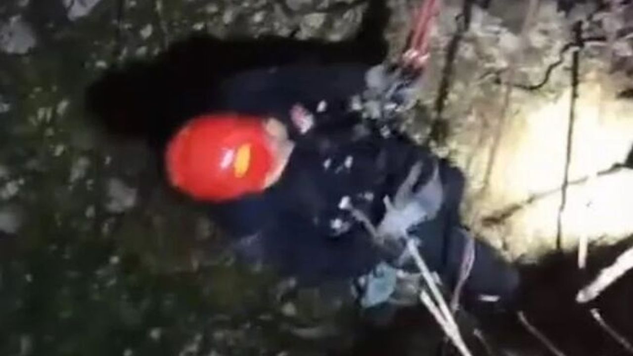 Kayseri'de 15 metrelik kuyuya düşen inek 3 saatte kurtarıldı