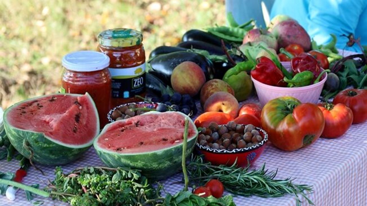 Kocaeli'den yüzde 75 hibeli tarım desteği