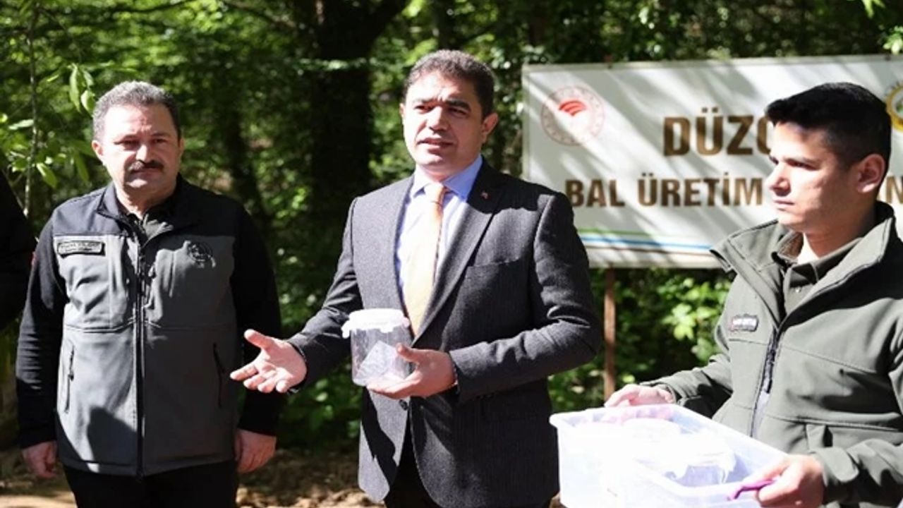 Düzce Valiliğinden gal arısı ile mücadele