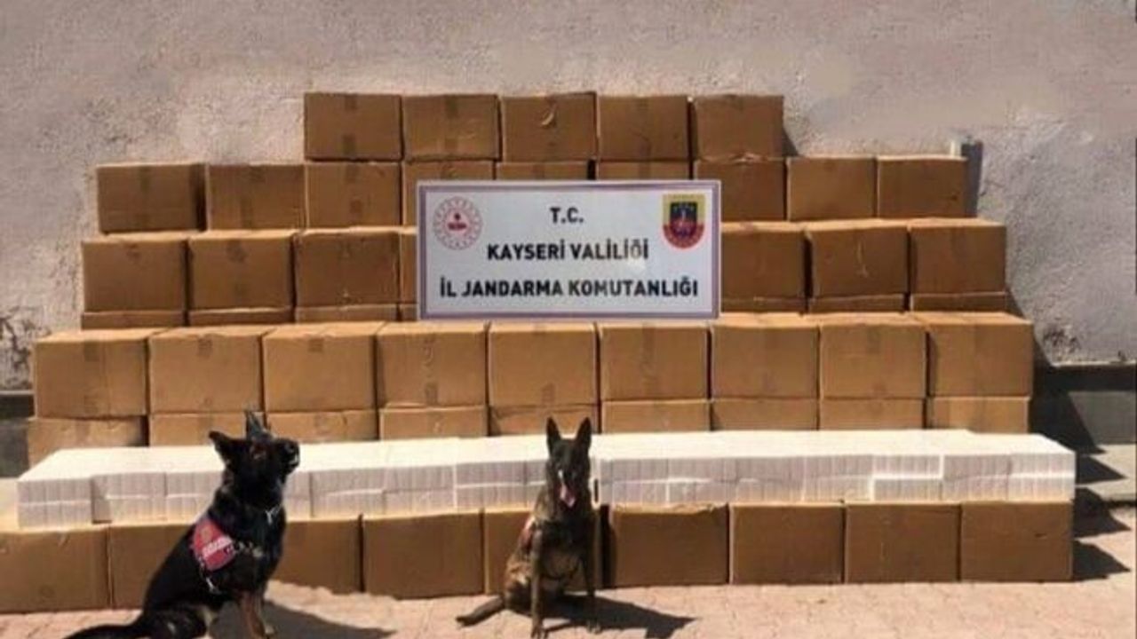 Kayseri'de 61 Bin 500 Paket Kaçak Sigara Ele Geçirildi