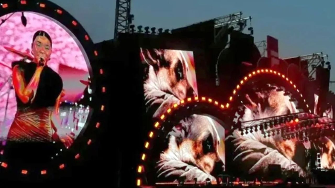 'Sen ağlama' şarkısıyla sokak hayvanlarının sesi oldu