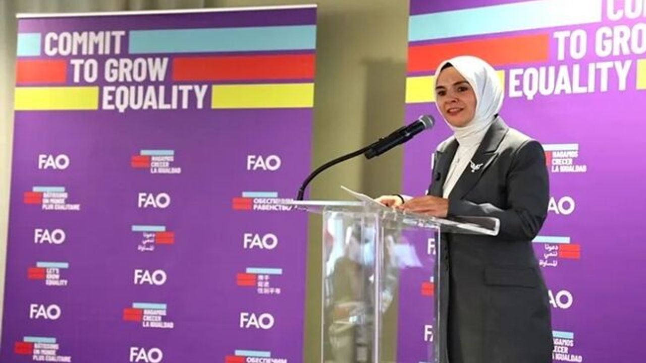 Bakan Göktaş kadınların küresel işgücünde yaşadığı zorlukları BM'de anlattı