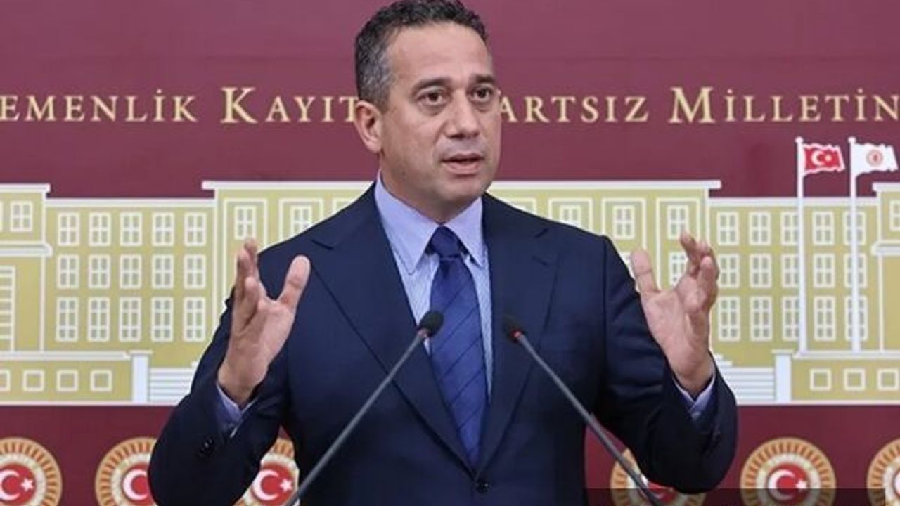CHP'li Başarır: Anayasa'nın ilk 4 maddesi ülkenin teminatıdır