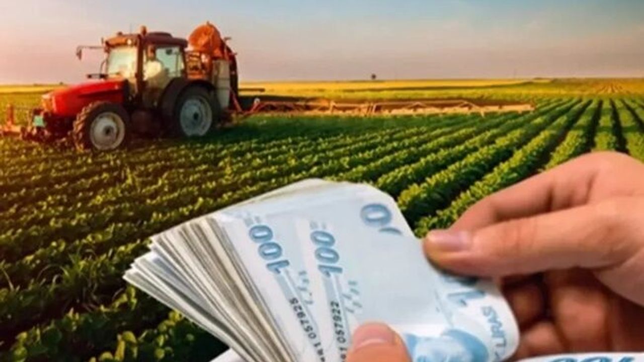 2025 bütçesinde tarıma 706 milyar TL ayrıldı