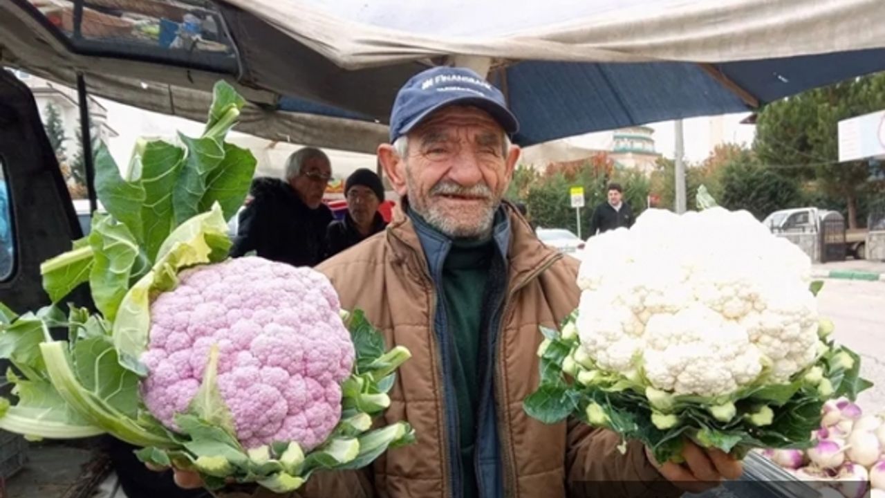 Mor karnabahar 'Pazar'ın gözdesi