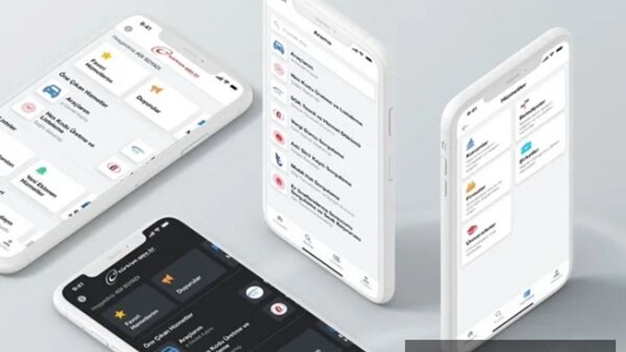 15+ üstü 100 kişiden 96'sı e-Devlet abonesi