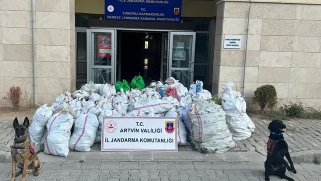 Artvin Jandarması 2024'te olayların yüzde 98'ini aydınlattı