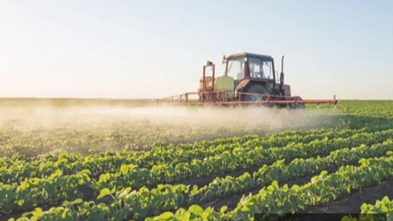 En fazla buğday, arpa, ayçiçeği, fındık ve mısır sigortalandı