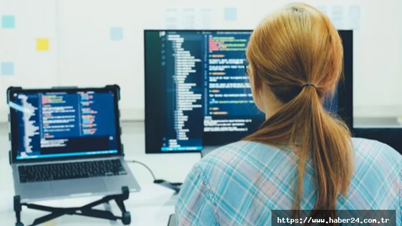 Diplomasız ‘yeni yaka’lar yükselişe geçiyor!