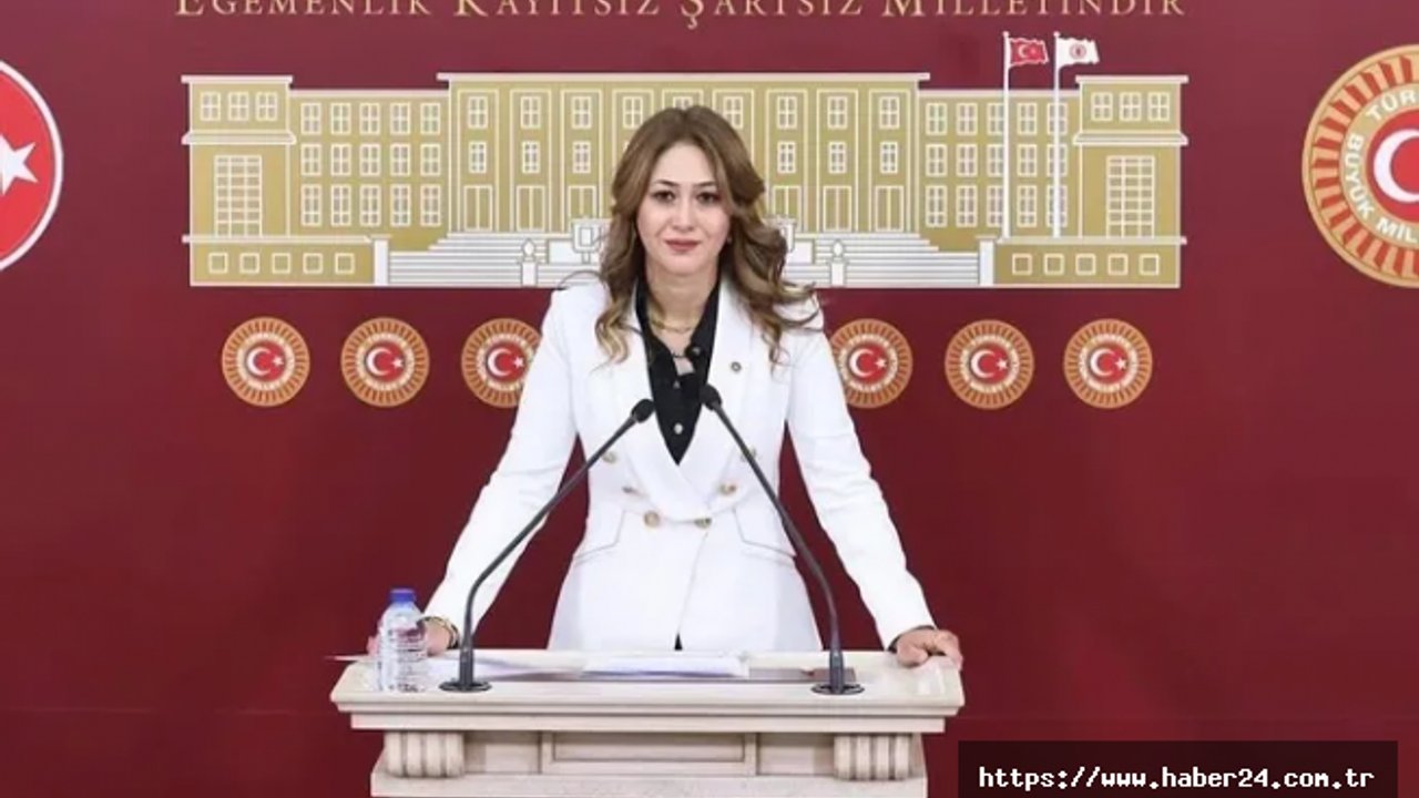 MHP'li Karakoç Dora, Trump ile Zelenskiy görüşmesini değerlendirdi