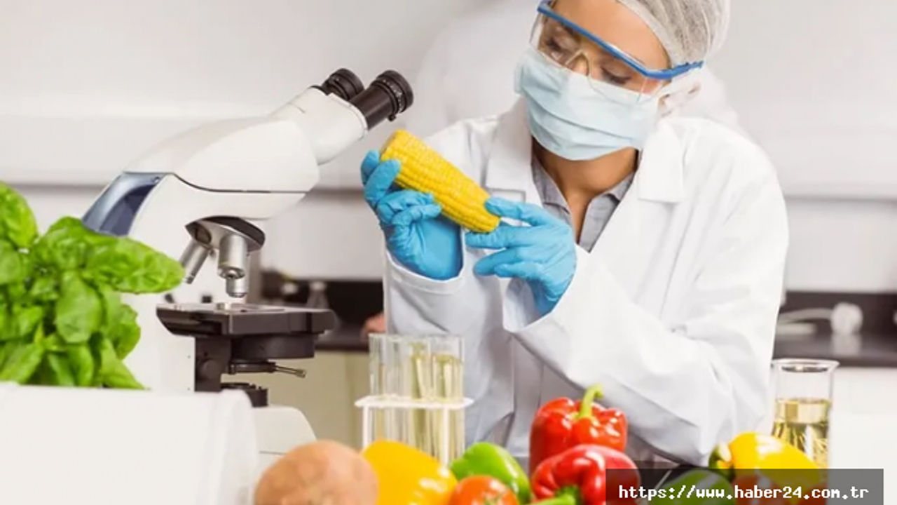 Mikotoksin analizlerinde AB uyumlu yeni kriterler netleşti