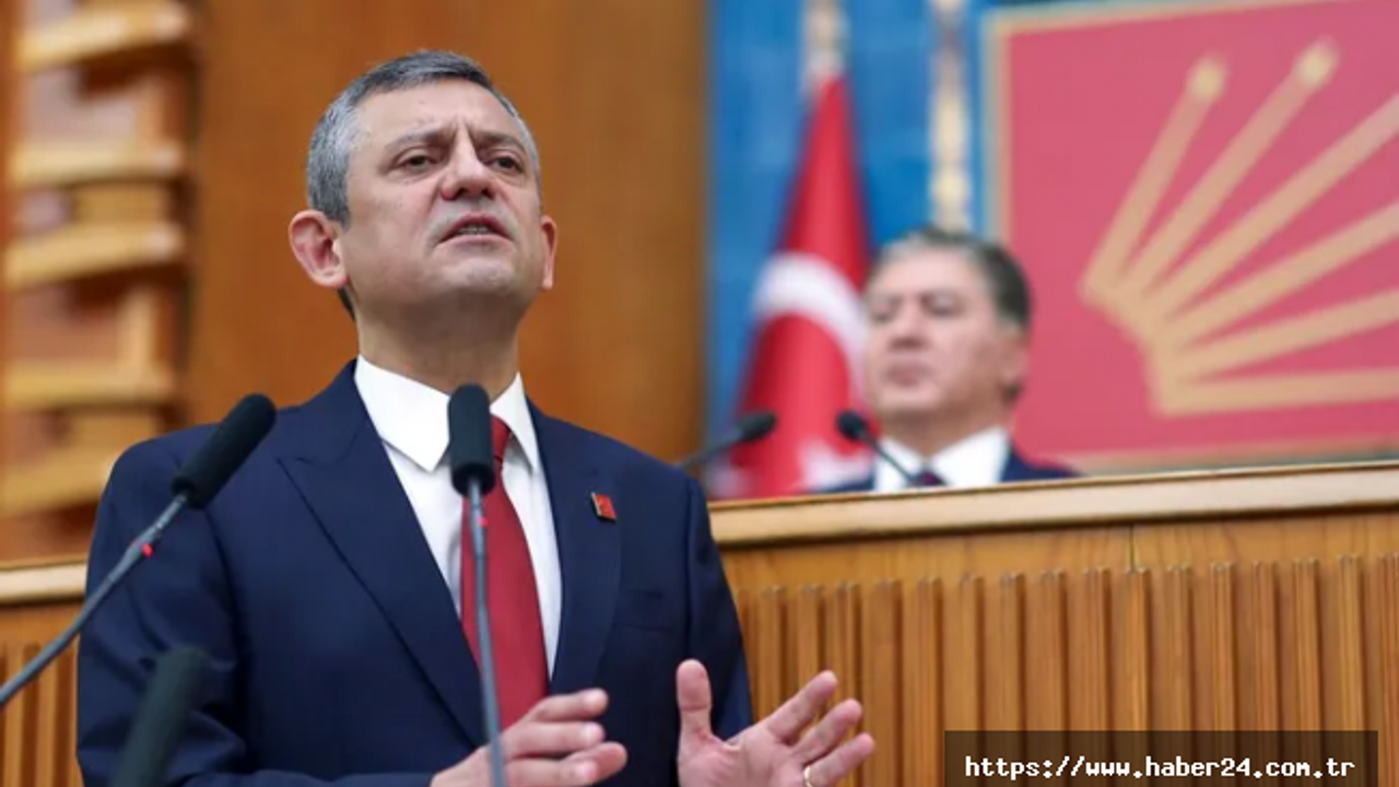 Sahipsiz hayvanlara yönelik düzenlemeye 'Özel' istek