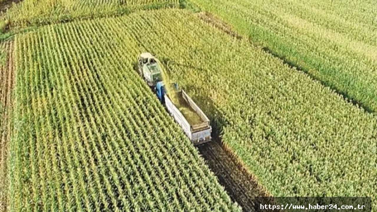 Tarım Arazilerini Etkinleştirme projelerini destekleyecek karar Resmi Gazete'de
