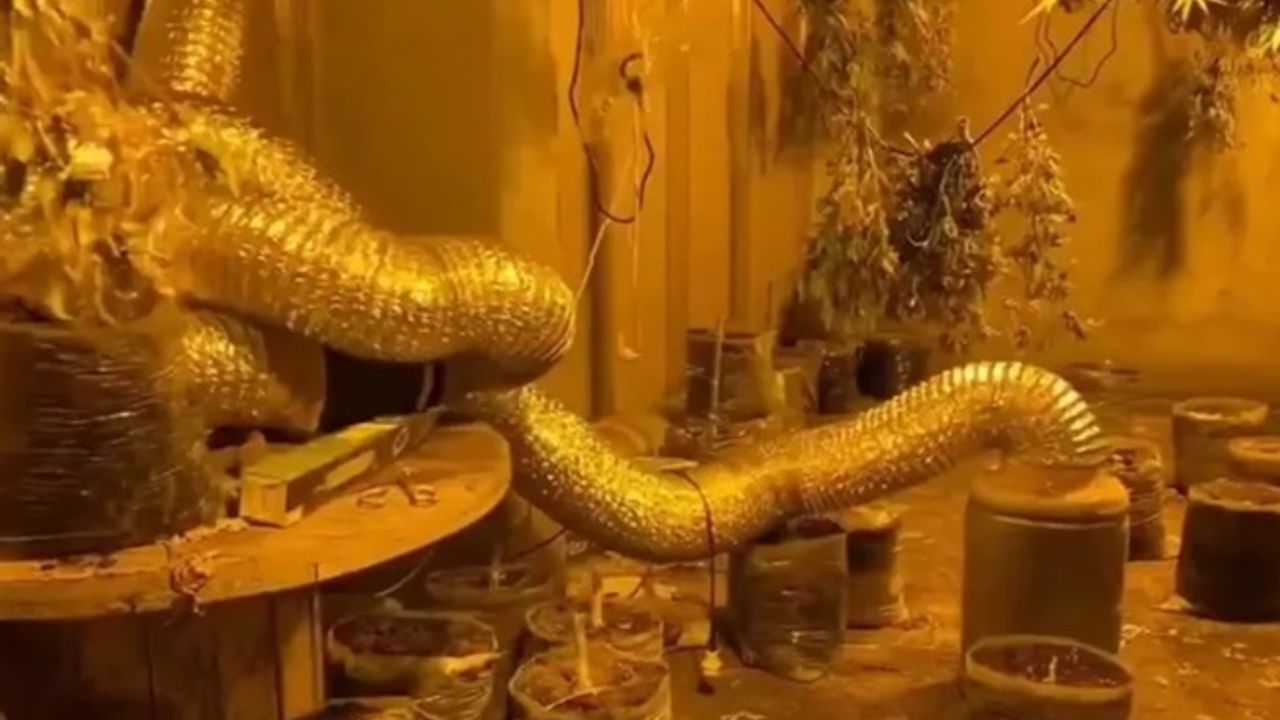Bursa’da Jandarmadan uyuşturucu tacirlerine büyük darbe
