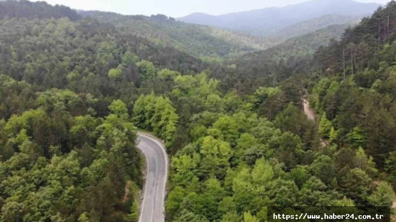 Çanakkale'de ormanlık alanlara girişler 1 Haziran'dan itibaren yasaklandı