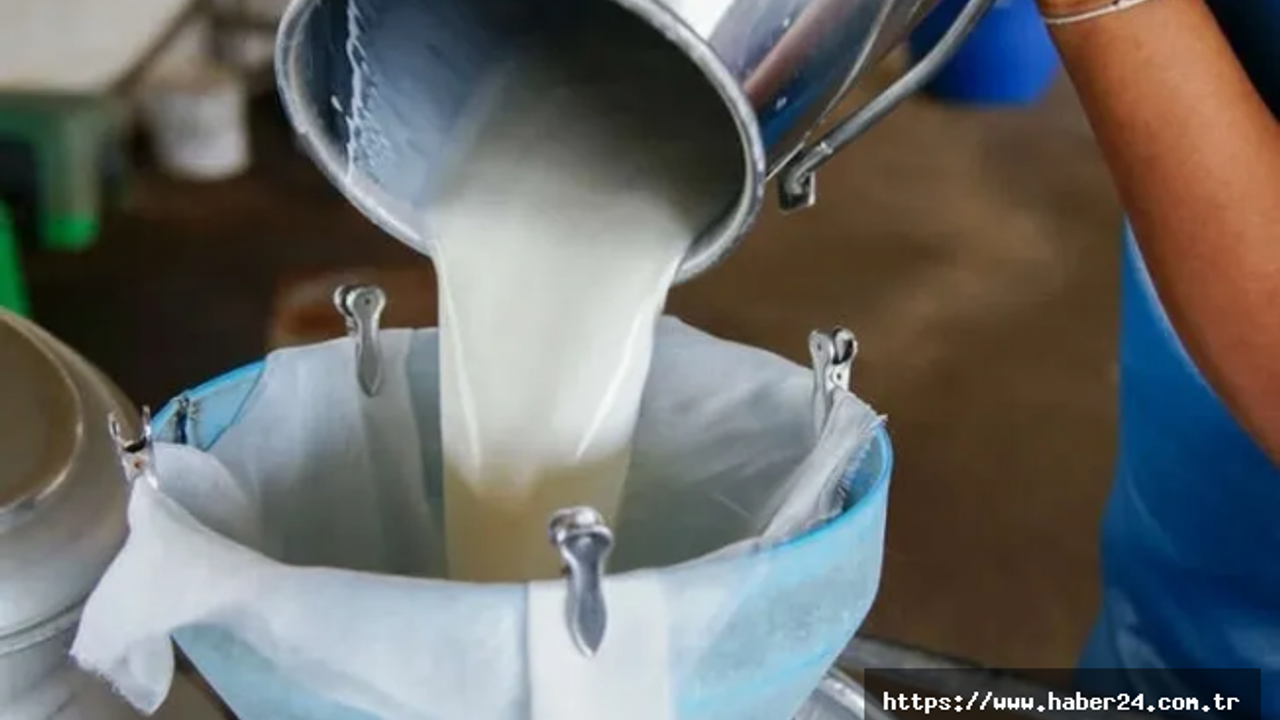 Türkiye’de süt üretimi yükseliyor! Mart’ta 1 milyon 15 bin ton süt toplandı