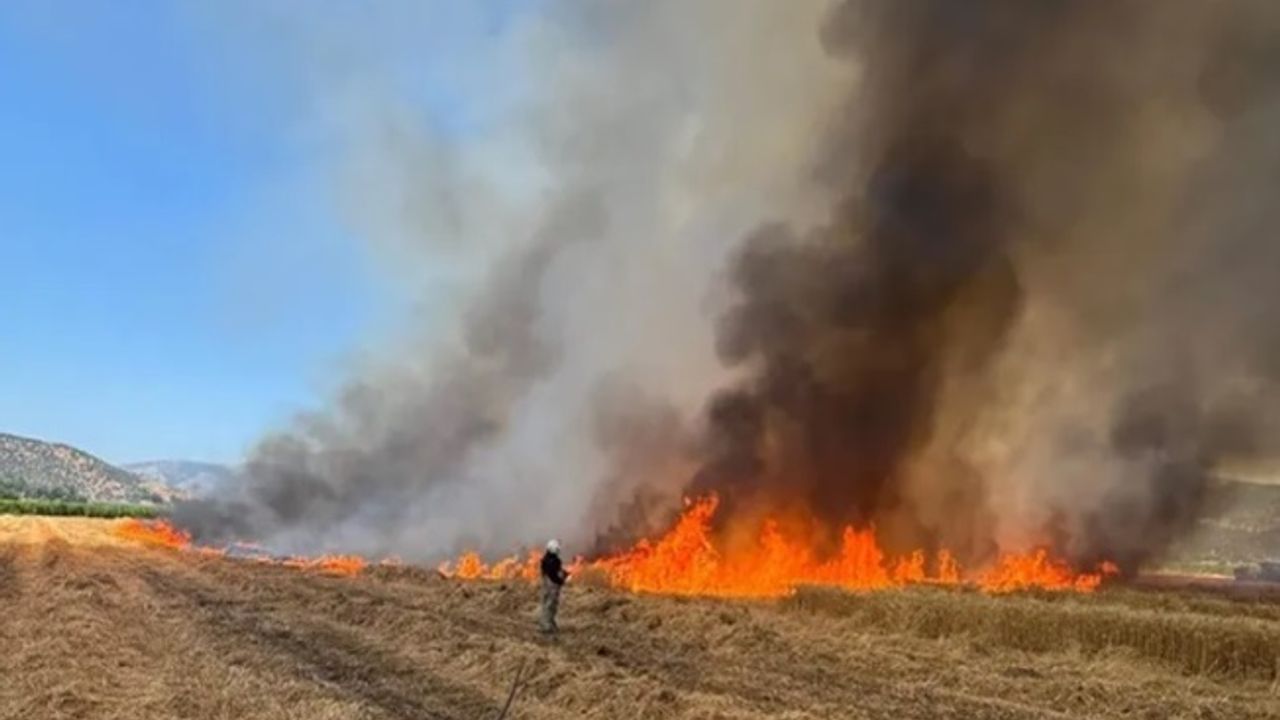 İzmir İtfaiyesi 48 saatte 220 yangına müdahale etti
