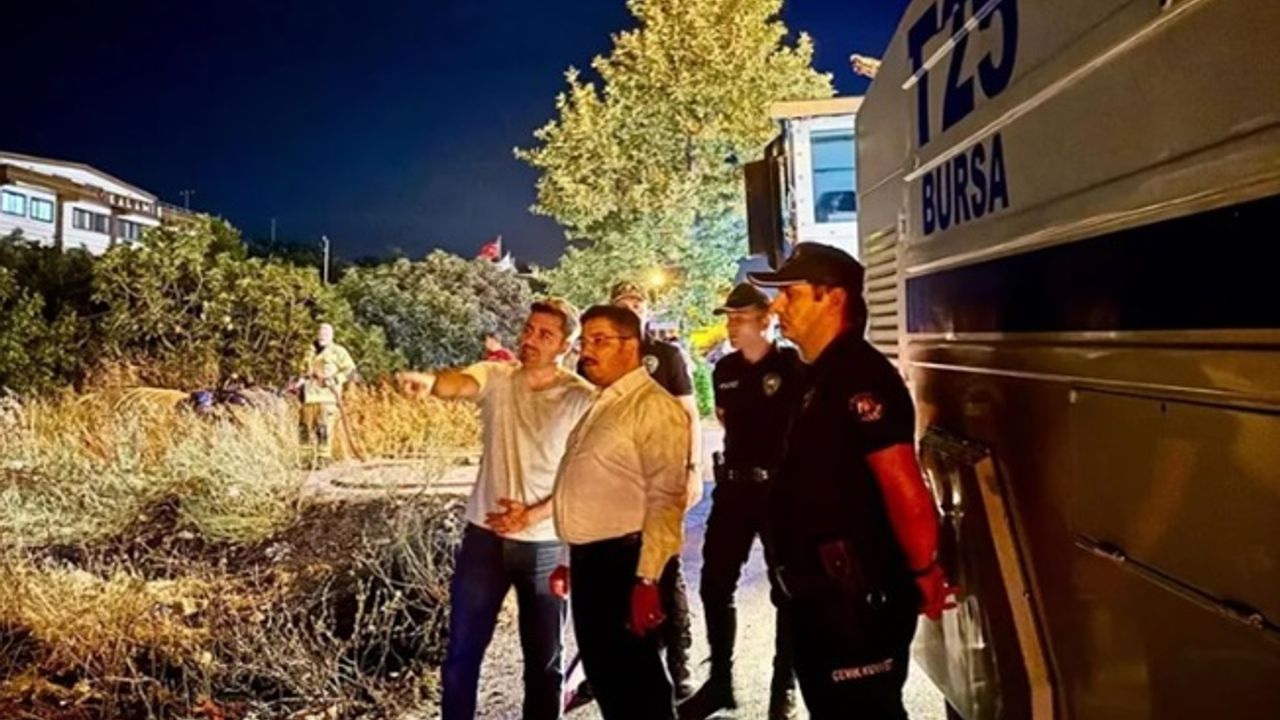 Mudanya Yolu’ndaki yangın kontrol altına alındı! 4 dönüm alan zarar gördü!