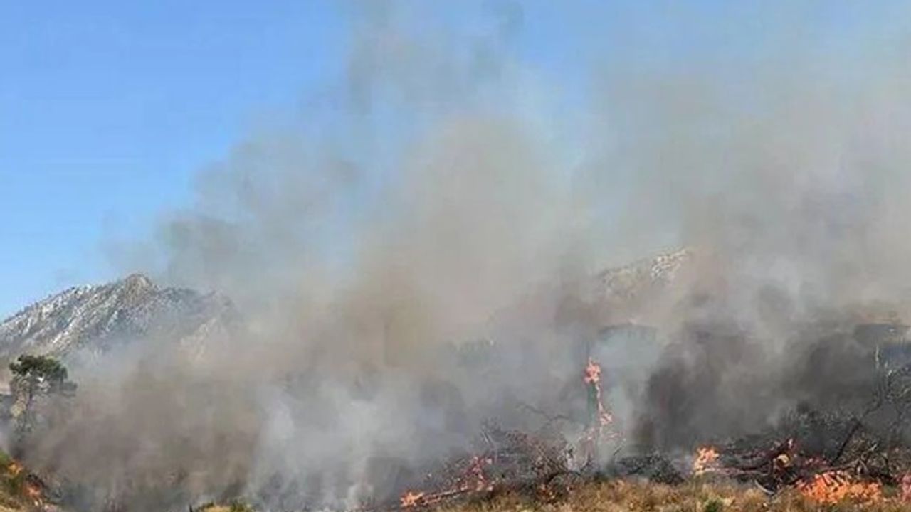 Akhisar’daki orman yangını 18 saat sonra kontrol altına alındı