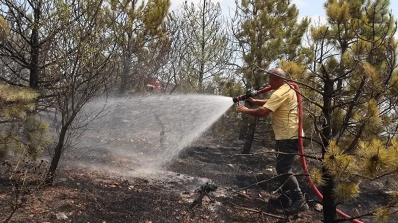 Amasya’da otluk alanda başlayan yangın ormana sıçradı!