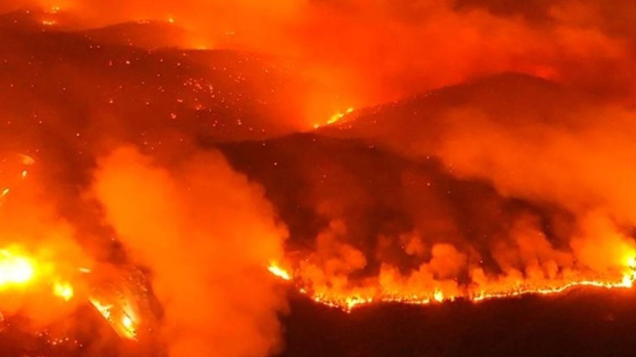 Bursa’daki orman yangını 4. gününde!