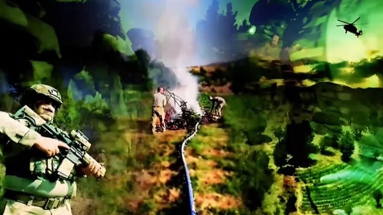 Diyarbakır’da dev operasyon! 4,4 milyon kök kenevir ele geçirildi