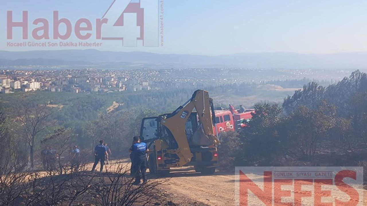 Kocaeli'nin Gebze İlçesinde Orman Yangını Paniğe Yol Açtı!