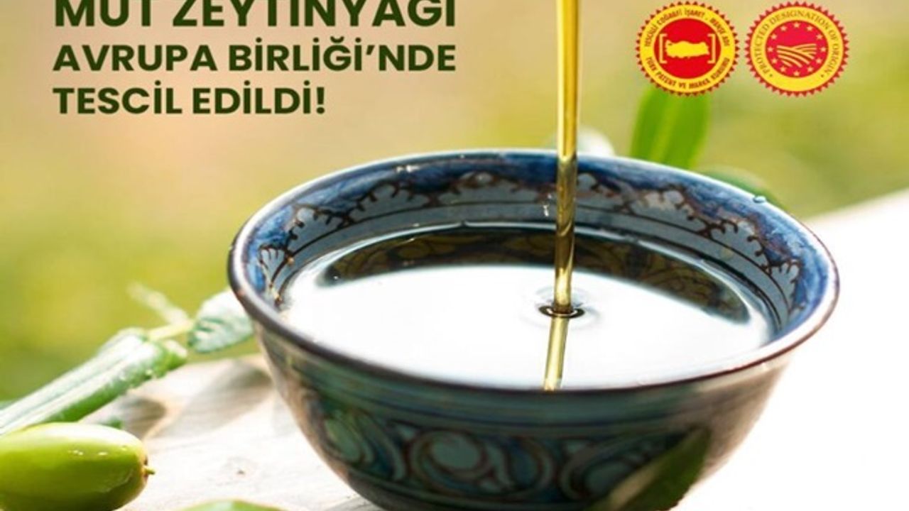 Mut Zeytinyağı ve Kırkağaç Kavunu, Avrupa Birliği’nde Tescillendi