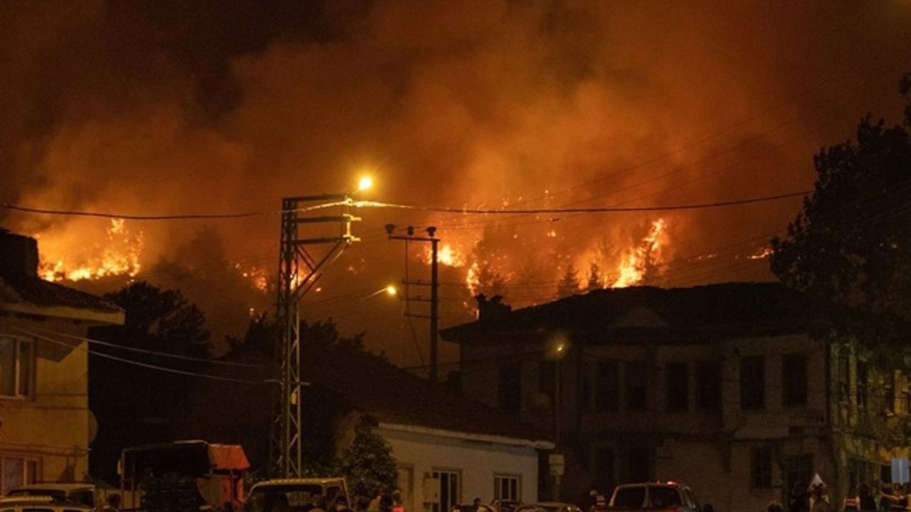Sakarya-Bilecik orman yangını kontrol altında