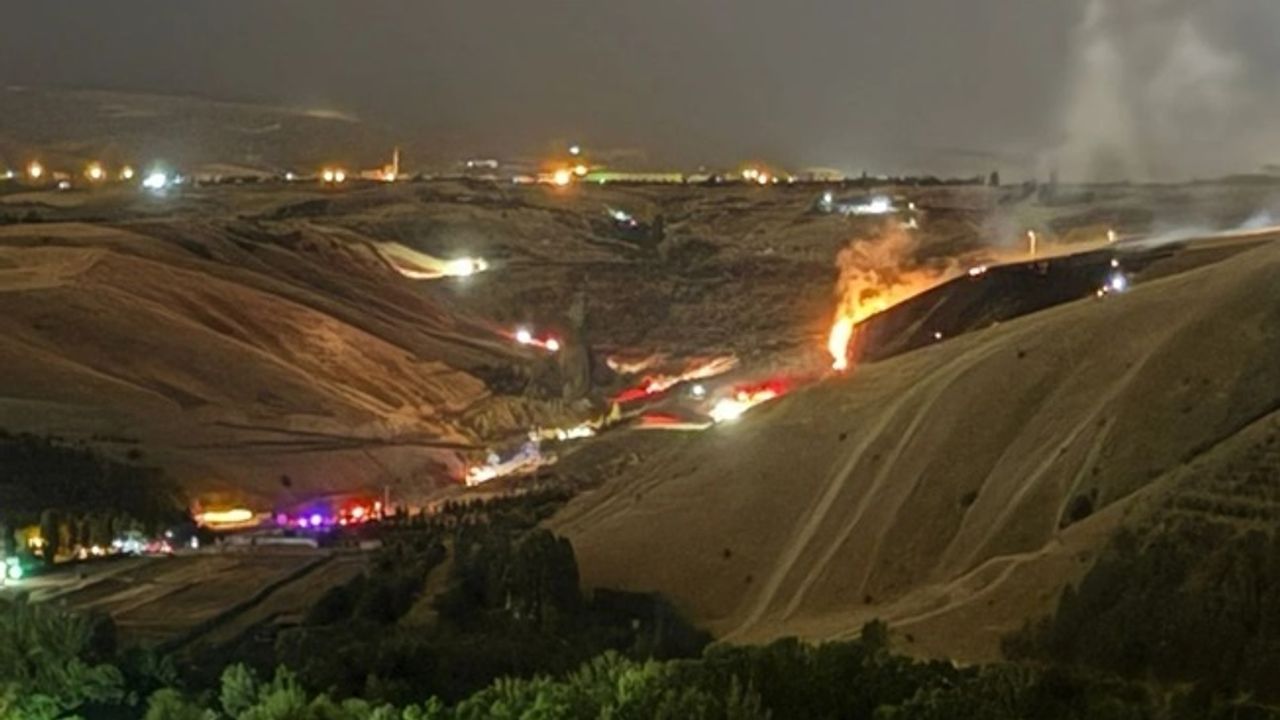 Ankara Eymir Gölü’nde havai fişek yangını: 2 kişi gözaltında