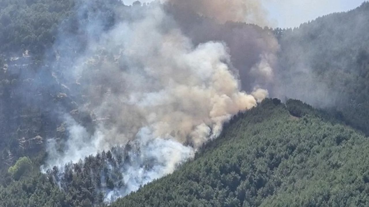 Bolu'da orman yangınına havadan ve karadan müdahale