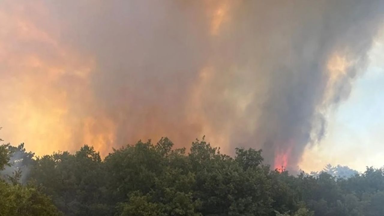 Edirne Keşan'da orman yangını