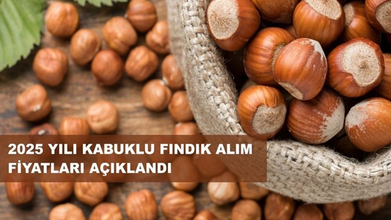 Fındık Taban Fiyatı Açıklandı!
