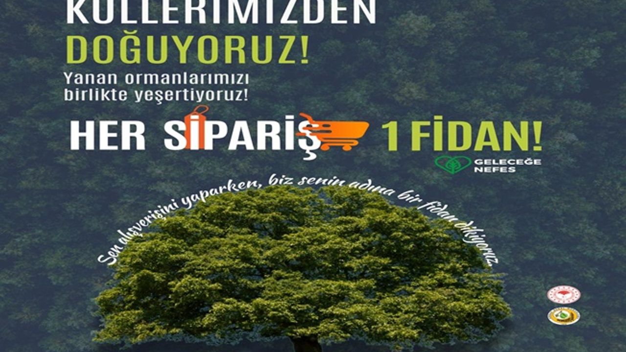 Her sipariş bir fidan oluyor