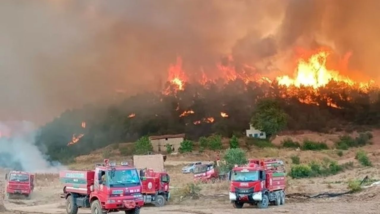 Orman gönüllülerine şehit statüsü getirildi