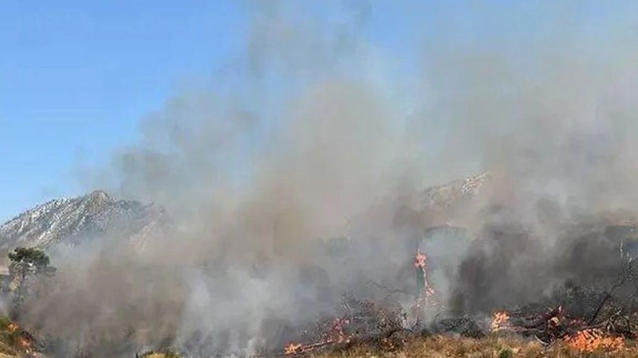 Şırnak’ta  orman ve örtü yangını
