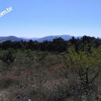 SAKARYA TARAKLIDA SATILIK TARLA
