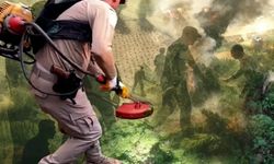 Diyarbakır'da milyonlarca kök kenevir ele geçirildi