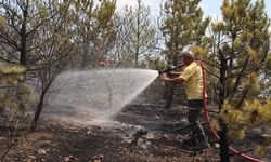 Amasya’da otluk alanda başlayan yangın ormana sıçradı!